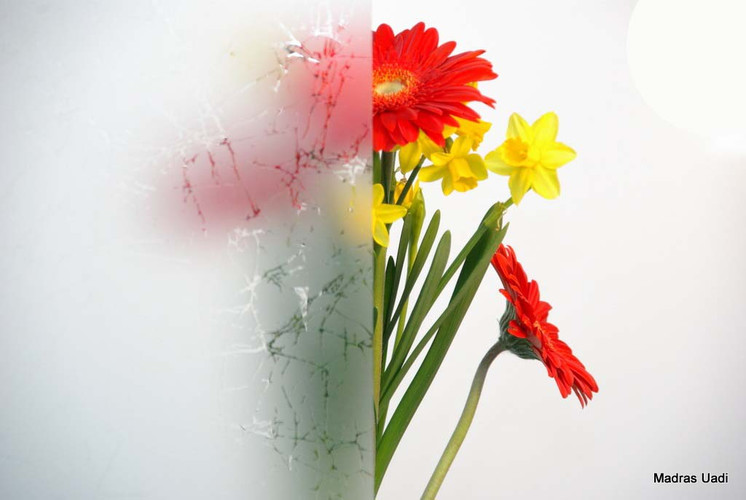 Strukturgläser Glas Lange